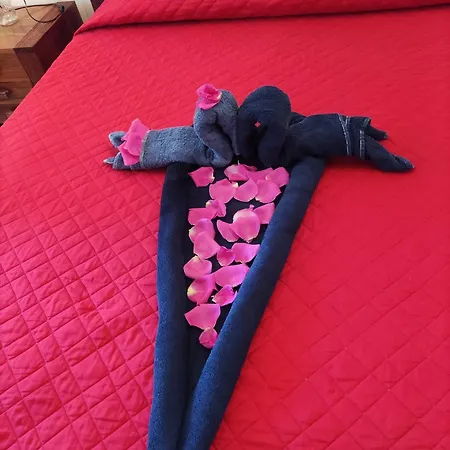 Daire Oasi Malcesine