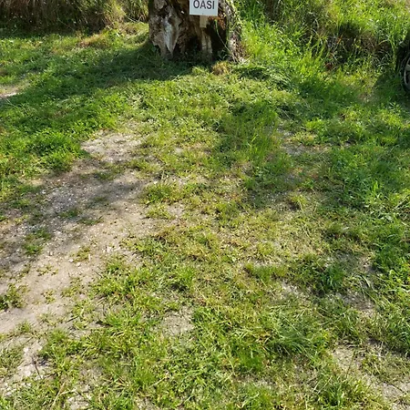 Oasi Apartment Malcesine